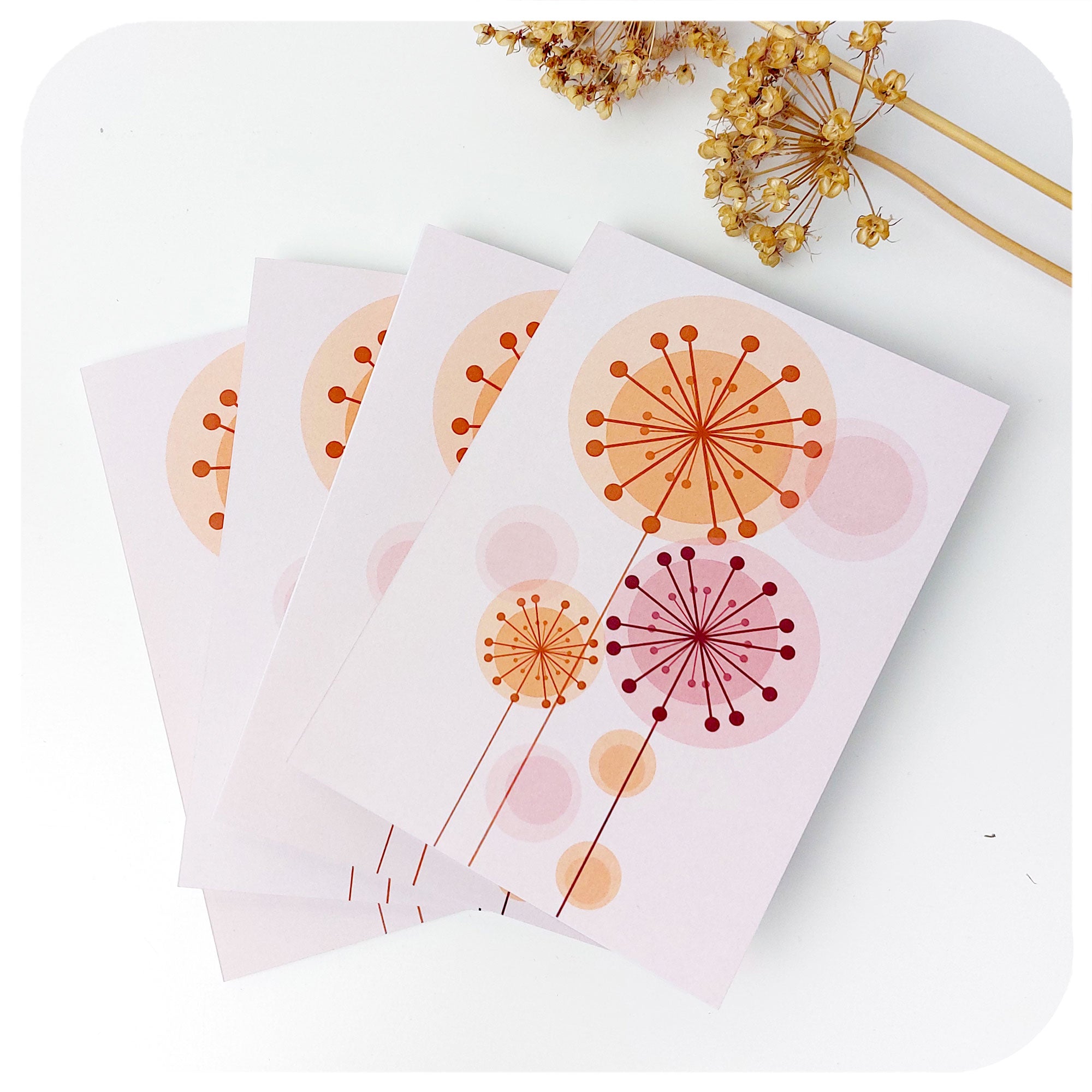 Retro Alliums Blank Greetings Cards - Pack of four, on table with dried alliums | The Inkabilly Emporium